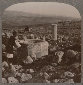 テコア遺跡、c1900 作： Unbekannt
