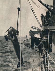 サメ型パラベーン、1943 作： Unbekannt