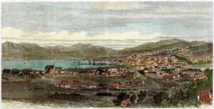 ニュージーランドの首都ウェリントンの町と港、c1880 作： Unbekannt