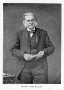 Thomas Henry Huxley、イギリスの生物学者、c1870s 作： Unbekannt