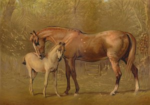 サラブレッドの牝馬と子馬、c1879。 作： Unbekannt
