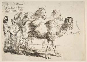 3つのDromedaries.nd 作： Unbekannt