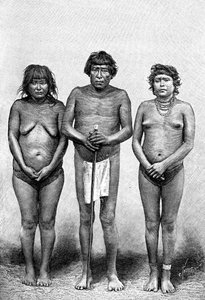 1895年に3人のグアラウニインディアン、ベネズエラ 作： Unbekannt