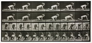 子供がハイハイする様子を撮影したタイムラプス写真 作： Unbekannt