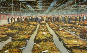 たばこセール、これまでにない興味深いシーン、1942年。 作： Unbekannt