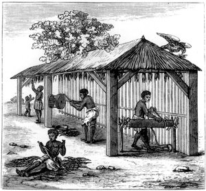 タバコの準備、1873 作： Unbekannt