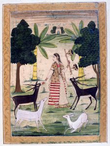 Todi Ragini、Ragamala Album、School of Rajasthan、19世紀 作： Unbekannt