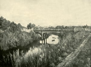 トレンズ湖、アデレード、1901年。 作： Unbekannt