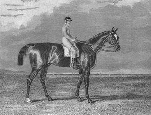 タッチストーン、1831-1861、1911
