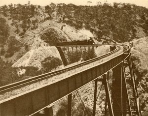 高架橋を通過する列車、マウントロフティ山脈、南オーストラリア州、1930年。