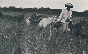パンパスの旅、1916