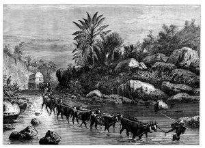 南アフリカ、グリクアランドを旅する、c1890 作： Unbekannt