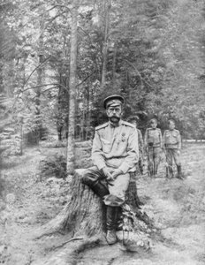 1917年8月13日、シベリアのトボリスクで亡命した皇帝ニコラス2世 作： Unbekannt