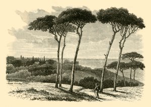 Tusculum、1890。 作： Unbekannt