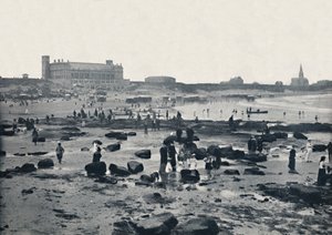 タインマス-水族館とサンズ、1895