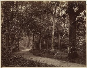 無題の風景、1860年代初頭。 作： Unbekannt