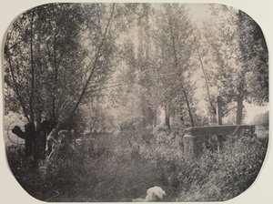 犬のいる無題の風景c。 1910年。 作： Unbekannt