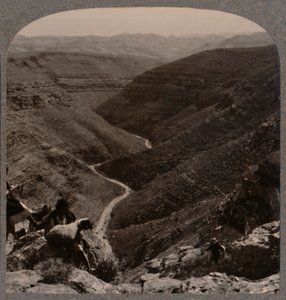 アルノ渓谷、手前の羊飼いと羊、c1900 作： Unbekannt