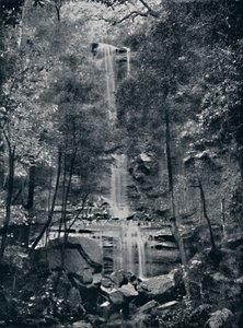 水の谷、ブルーマウンテン、c1900。 作： Unbekannt