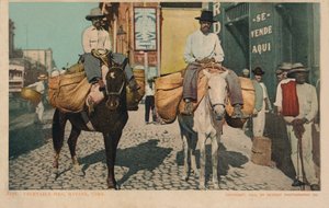 野菜の男性、ハバナ、キューバ、1904