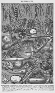 野菜、1907、1907 作： Unbekannt