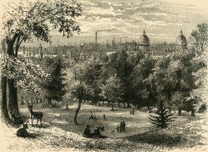 グリニッジ公園、c1878で表示します。