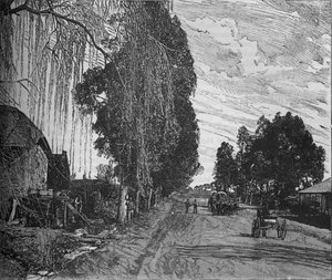 プレトリア、c1880の近くを表示します。 作： Unbekannt