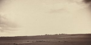 牛のいる畑の眺め、1850年代から1860年代。 作： Unbekannt