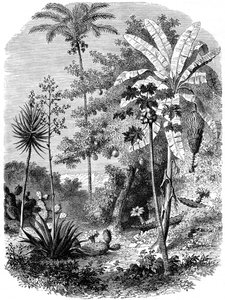 スペインのメイン、グアテマラ、1877年のビュー 作： Unbekannt
