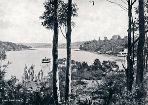 レーンコーブ川、c1900のビュー。 作： Unbekannt
