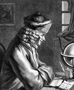 ヴォルテール、18世紀のフランス人作家、脚本家、風刺家、文学者 作： Unbekannt