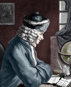 ヴォルテール、18世紀のフランス人作家、脚本家、風刺家、文学者 作： Unbekannt