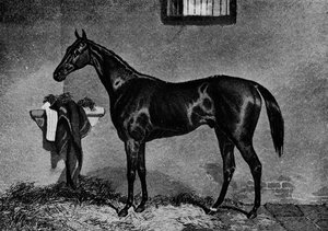 Voltigeur、1847-1874、1911 作： Unbekannt