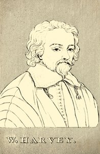 W・ハーヴェイ、1578-1657、1830。