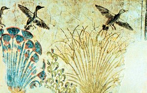 アケナテンの墓の壁画、古代エジプト、第18王朝、紀元前1375年 作： Unbekannt