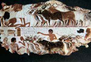 エジプト、テーベのネバルヌンの墓の壁画、紀元前 1350 年頃