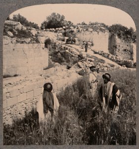 アウグストゥスの壁、サマリア、c1900 作： Unbekannt