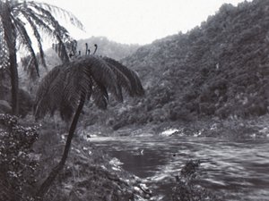 19世紀後半から20世紀初頭にかけてのワンガヌイ川。 作： Unbekannt