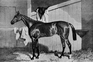 ウォーロック、19世紀、1911 作： Unbekannt