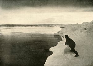 Ice-Edge、c1908、1909でアザラシを監視しています。 作： Unbekannt