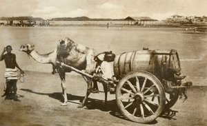ウォーターカート、アデン、c1918-c1939。