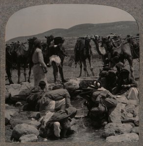 Jacobs Well、c1900でラクダに水をまく 作： Unbekannt