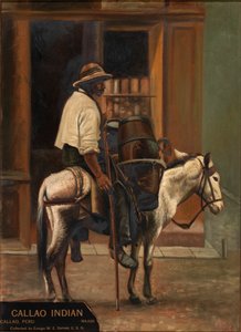 カヤオのウォーターマン、カリフォルニア州。 1890-1892。