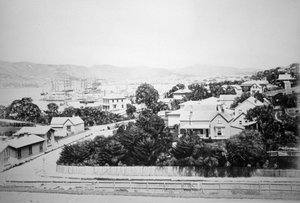 ウェリントン、ニュージーランド、1875 作： Unbekannt