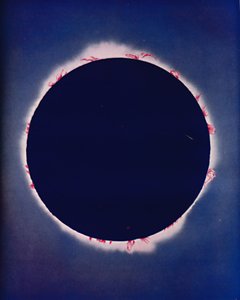 皆既日食、c1935のいくつかの瞬間の間に見られるもの 作： Unbekannt