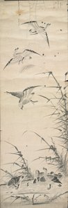 野生のガチョウと葦、1392-1910。 作： Unbekannt