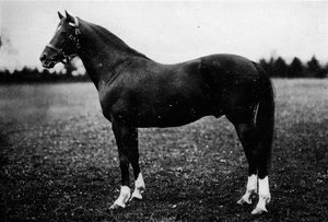 野鳥捕獲者、19世紀、1911 作： Unbekannt