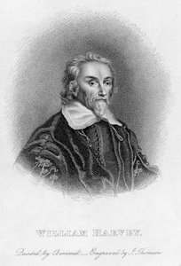 ウィリアム・ハーヴェイ1578-1657イギリスの医師、17世紀 作： Unbekannt
