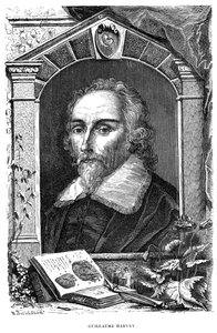 ウィリアム・ハーヴェイ1578-1657イギリスの医師、17世紀 作： Unbekannt