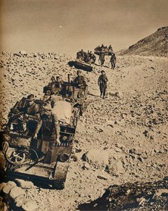 1943年にチュニジアでアンダーソンの男性と 作： Unbekannt